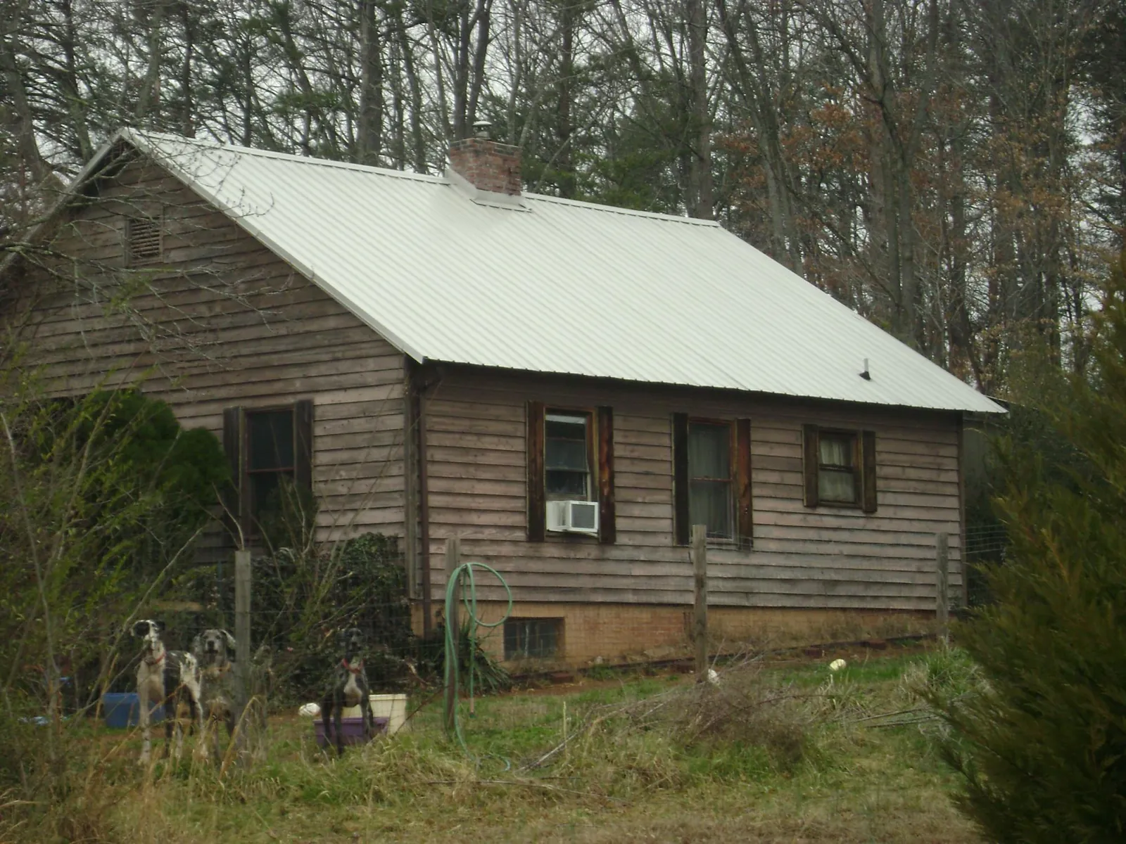 White metal roof on an old wood sided farmhouse, from a Asphalt Shingle Roof Repair job in Wolf Creek